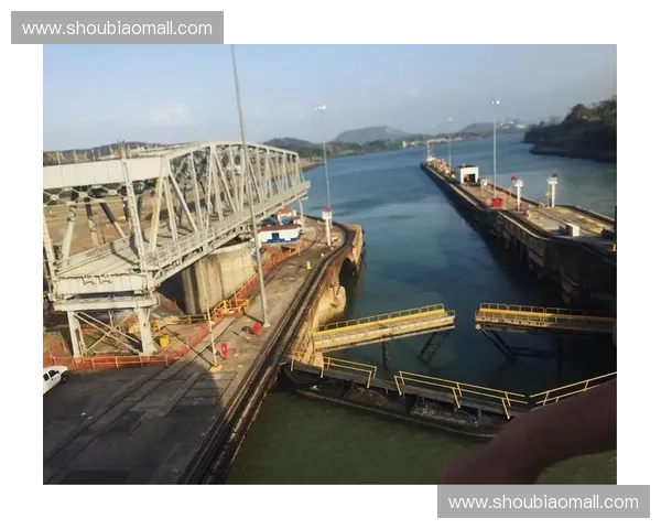 英雄莉莉英文传记探索：勇气与智慧并存的传奇故事